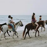 Marinasco 10 Pax By Villasretreats * Специя